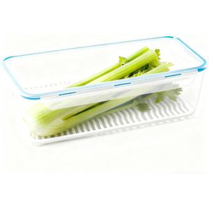 Celery Keeper for Refrigerator  14 Inch Airtight Vegetable Container with Draining Tray, 3.5L Produce Storage Box with Snap Lock Lid, Long Food Bin for Celery, Carrots, and Greens