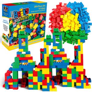 Strictly Briks Toy Building Set - Toddler Toy for Creative Play - Educational Building Blocks for Fine Motor Skills - Interlocking Design Compatible with Lego - 204 Pieces, Basic Colors