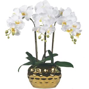 W&W Artificial Orchid Plants & Flowers Arrangement in Ceramic Pot, Fake Faux White Orchid with Gold Vase, Realistic Phalaenopsis Orchids for Home Decor Indoor