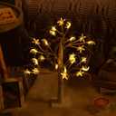 Moucuny Ramadan Lighted Star Moon Birch Tree with LED Lights USB Battery Powered Artificial Tree for Decoration Indoor for Eid Decorations Home Ramadan Parties, 2 Ft, 24 LED