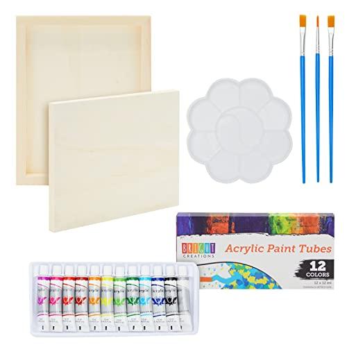 18-Piece 8 x 10-Inch Wooden Canvas Painting Set, 2 Natural Wood Panel Paint Boards with 12 Acrylic Paint Tubes, 3 Brushes, and 1 Plastic Palette for Crafting and Art Supplies