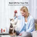 Cheerble Interactive Cat Ball Toy, Automatic Moving Ball Toy for Indoor Cat Kitten, Electric Pet Toy Fun Gift with Light, High Energy Cat Toys, Red