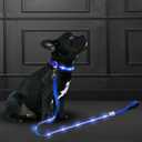 Led Dog Leash Rechargeable Waterproof 1000 ft Night Visibility LED Dog Leash - Padded Double Traffic Handle |10hr Battery Life, USB-C Quick Charging Light | Heavy Duty Durable Quality (Blue)