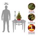 National Tree Company Pre-lit Artificial Mini Christmas Tree | Includes Small Lights and Cloth Bag Base | Majestic Fir - 2 ft