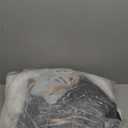 Dog Car Seat for Small Dogs - Waterproof Pet Booster Seat for Car with Clip-On Safety Leash, Travel Carrier for Medium Puppy up to 25 lbs, Memory Foam Filling and Adjustable Buckles, Black