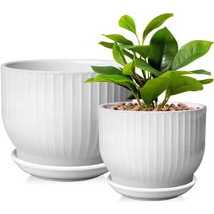 6.7 + 5.5 Inch Plant Pot, Ceramic Planter with Drainage and Saucer, Ceramic Pots for Plants, Indoor Plant pots,Ceramic Flower potsPure White, Plants NOT Included