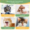 Nobleza Catnip Toys, 5Pcs Cat Chew Toys for Indoor Cats Clearance, Cute Animal Shapes Plush Kitty Teething Toys with Crinkle Paper for Pet Birthday, Interactive Kitten Kicker Toy with Organic Cat Nip (Colorful)