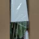 Dracaena Plant Artificial Tree 6Ft Tall Fake Tropical Floor Plants Potted (Real Touch) Artificial Silk Tree Leaf Faux Trees White Tall Planter for Home Office Living Room Indoor Outdoor Decor