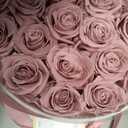 Prifroti 27 Flowers in a Luxury Suede Box, Birthday Gifts for Women, Preserved Flowers, Mothers Day Roses Gift for Mom, Dusty Rose