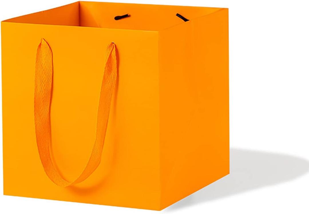 LFCXHTY Orange Square Gift Bags Small Square Paper Bag with Handles for Party Favor, Birthday Gift Bags (8 x 8 x 8 in, 20 CT)