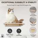 Snuggle & Play Cat Wall Shelves & Climbing System Modern Furniture Set with 3 Steps & Perch for Indoor Cats, Includes Wand Toy
