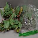 Thiccywoov 12 Pcs Large Artificial Christmas Poinsettias Decorations 9.8" Jumbo Christmas Tree Decorations Glitter Poinsettias Picks Ornaments for Xmas New Year Wreath Garland Wedding Party Decor