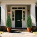 Yangrass 2Pack Artificial Cedar Topiary Trees with Pot,4FT UV-Anti Greenery