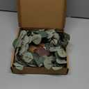 LITBLOOM Lighted Eucalyptus Garland Battery Operated with Timer 6FT 96 LED Artificial Greenery Twig Vine Lights for Room Stairs Mantle Wedding Holiday Decoration Indoor Outdoor