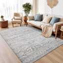 6x9 Area Rugs for Living Room, Stain Resistant Washable Rugs for Dining Room, Floral Vintage Non-Slip Gray Thin Area Rug(Grey, 6'x9')