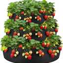 3 Tiered Fabric Strawberry Planter 48 36 24 Inch Strawberry Pyramid Planter for Outdoor Growing Vegetables Herb Plant