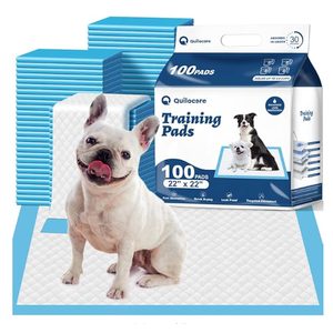 Basics LeakProof Dog and Puppy Potty Training Pee Pads with QuickDry 5Layer Super Absorbent Design, Regular Size 22 x 22 inch, Blue & White, 100 Count