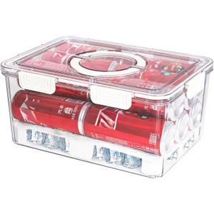 Ice Chilled Camping Food Container Fruit Serving Tray with Lid Stackable Snackle Box with Handle & Ice Pack for Veggie Baverage Drinks Beer cupcake Organizer for party Picnic Camping Fridge(Large)