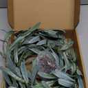 LITBLOOM Lighted Olive Garland Battery Operated with Timer 96 Fairy Lights 6FT, Artificial Greenery Twig Vine Lights for Christmas Spring Fireplace Mantle Decoration Indoor Outdoor