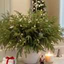 MISSPIN 12 Pcs 19.5 Inches Christmas Norfolk Pine Branches, Norfolk Pine Artificial Christmas Branches DIY Crafts Faux Pine Branches for Xmas Indoor Outdoor Home Decor