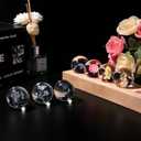 7 Pcs Flower Crystal Ball Night Light with LED Wooden Base, 3D Dandelion, Four-Leaf Clover, Mushroom, Rose, Tulip Plant Lamp for Home Office Gifts for Christmas Decor