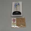 Childom Valentines Gifts for Her, Birthday Gifts for Women, Valentines Day Flowers Gifts for Mom, Women, Her, Wife, Grandma, Light Up Rose in Glass Dome, Colorful Rainbow Mothers Day Flowers for Delivery