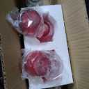 4-Light LED Track Lighting Kit Brushed Steel Finished Clear Red Acrylic Shades A85L-BS-CRD (Brushed Steel/Clear Red)