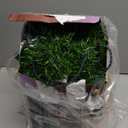 49 ft Green Christmas Garland Decorations Artificial Greenery 3.5" Wide Pine Garland PVC Soft Christmas Decorations for Indoor Outdoor Tree Stair Banister Fireplaces, 1 Pcs, 49 ft Each