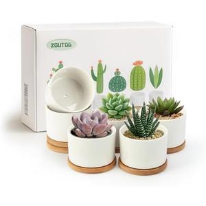 ZOUTOG Succulent Pots 3.1 Inch,6 Pack Succulent Planters, Small Pots for Plants with Drainage and Tray, White Ceramic Flower Planters for Indoor Plants, Home, Office, Desk