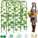 62in Tall Cucumber Trellis for Raised Bed, 51" L x 62" H Metal Garden Trellis for Climbing Plants Outdoor, U-Shape Vegetables Trellis Support for Squash Zucchini Peas Grape
