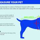 Pets First NHL Boston Bruins Jersey for Dogs & Cats, X-Large. - Let Your Pet Be A Real NHL Fan!