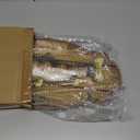 Rustic Wooden Fish Wall Hooks Wall Mount Beach Coastal Ocean Theme Key Holder with Resin Fish for Keys, Jackets, Towels, Gift Hallway Entryway Kitchen Wall Art Decor (Style B)