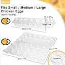 Pintuson 40-Pack Egg Cartons (18 Count) - Clear Plastic Egg Holder for Fresh Chicken Eggs - Reusable 3x6 Gird Egg Container with Secure Snap for Farmers Market & Transport - Fits Small to Large Eggs