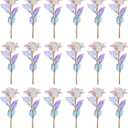 20PCS Artificial Colorful Flowers Galaxy Rose Crystal Flower Glass Rose Gifts for Wedding, Mother' s Day Memorable Days, Color A