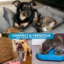 Master Pet Supply Double Dog Bowls Set with Elevated Base and 2 (8 oz) Stainless Steel Removable Dishes (True Blue)  Double Cat Food Water Bowl, Dog Puppy Food Bowl Set, Rust Resistant