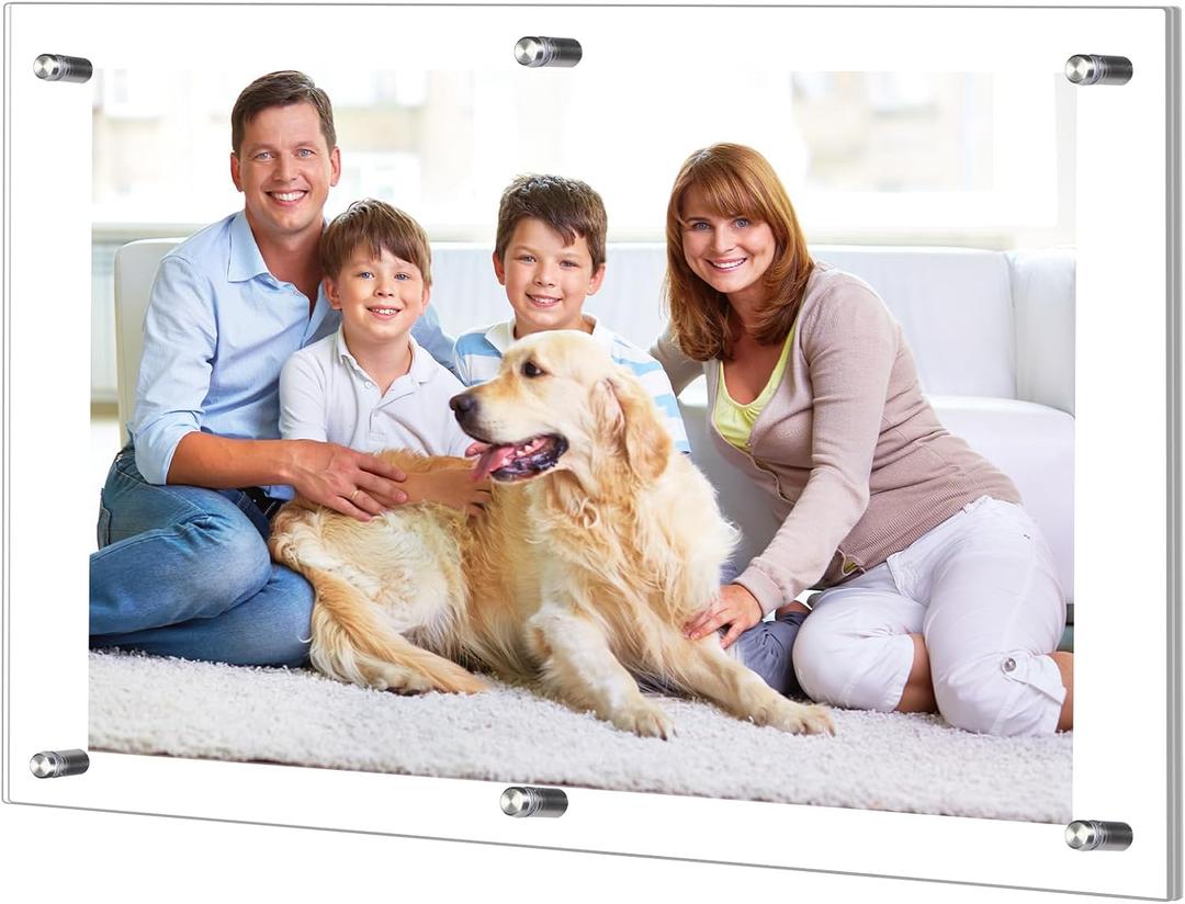 DoubleFill 1 Pack Extra Large Frameless Floating Acrylic Frame Wall Mount Magnetic Acrylic Picture Frames with Chrome Standoffs Double Panel Floating Frame for Photo Poster Display (18 x 24 Inch)