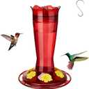 Kingsyard Glass Hummingbird Feeder for Outdoors Hanging, 14 oz Leak-Proof Humming Bird Feeders with Ant Moat & Bee Proof Feeding Ports, Hummingbird Gift for Bird Lovers (Red)