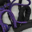 IVY&LANE No Pull Dog Harness for Medium Dogs, Dog Vest Harness with Leash, Safety Belt and Storage Strap, Fully Adjustable Harness, 360 Reflective Strip, Soft Handle (Purple, M)
