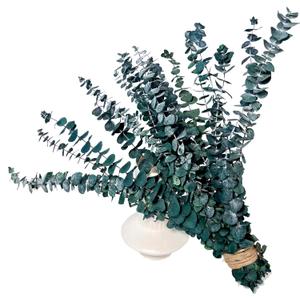 (20Pcs) Dried Eucalyptus Stems - Red, Real Long Eucalyptus, Dried Flowers for Vase, 17" Floral Arrangement, Wedding (Blue)