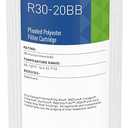 Pentair Pentek R30-20BB Big Blue Sediment Water Filter, Whole House Pleated Polyester Filter Cartridge, 20" x 4.5", 30 Micron, White