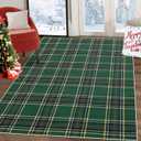 Christmas Washable Area Rug Xmas Buffalo Plaid Area Rugs Holiday Decorative Gingham Check Floor Cover Non-Slip Stain Resistant Accent Rug Farmhouse Dining Bedroom Decor, Green, 4' x 6'