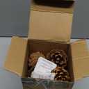 JOHOUSE 30PCS Christmas Pine Cones, Natural Pinecones for Crafts Assortment Rustic Pine Cones for Decorating Christmas Winter Holidays Table Bowl Fillers, Winter Vase Filler