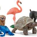 Schleich Wild Life - 5PC Exotic Animal Starter Playset Figurine Bundle - With Flamingo, Sloth, Frog, Giant Tortoise and Monkey Figures for Boys and Girls - Realistic Animal Toys Kids Ages 5+ | 77590