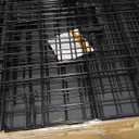 Amazon Basics Durable, Foldable Metal Wire Dog Crate with Tray, Double Door, 36 x 23 x 25 in, Black