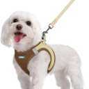 Rabbitgoo Dog Harness Small Sized and Leash Set, Step in Soft Light Puppy Vest, Breathable Mesh Pet Harness, Reflective for Safe Easy Walking, Brown & Beige, M