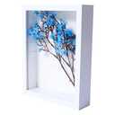 KAPIX Small Shadow Box 4x6 Picture Frame with HD Plexiglass Deep Wood Memory Box Display case for Flowers,Ticket,Memorabilia,Keepsake,Medal,Art and Photos,White