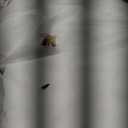 MIULEE Pillow Inserts 22x22 Inch Set of 2, Feather Mix Polycotton with Cotton Fabric Square Decorative Throw Pillows for Couch Bed Sofa