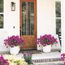 SJL Artificial Flowers for Outdoors Faux Spring Petunias Flowers Fake Greenery Stems Plant UV Resistant Artificial Outdoor Plants for Front Door Home Garden Balcony Patio Decoration(Fuchsia)