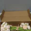 Floroom Ranunculus Artificial Flowers 18 Pcs Champagne Faux Silk Mini Ranunculus Bulk Fake Wedding Filler Flowers for DIY Cream Bouquets, Centerpieces, Bridal Shower Decorations & Arrangements