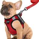 FAYOGOO Service Dog Vest for Small Breed - Lightweight Dog Harness with 6PCS Removable Patches - Puppy Harness and Leash Set for Walking,Training L